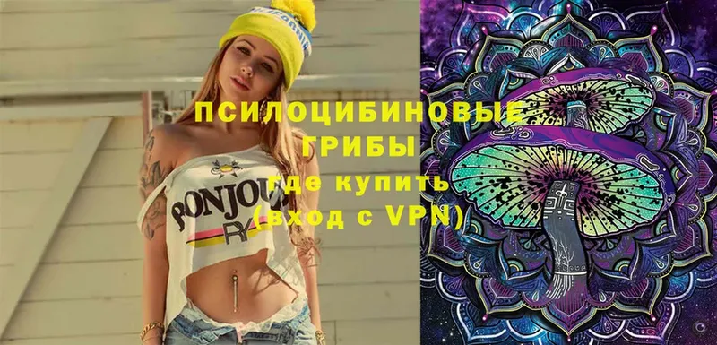 Псилоцибиновые грибы Cubensis  ссылка на мегу   Цивильск 